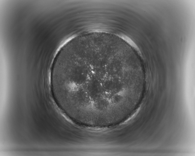 X0000085780790200703161205