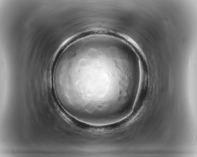 X0000085780791200703161205