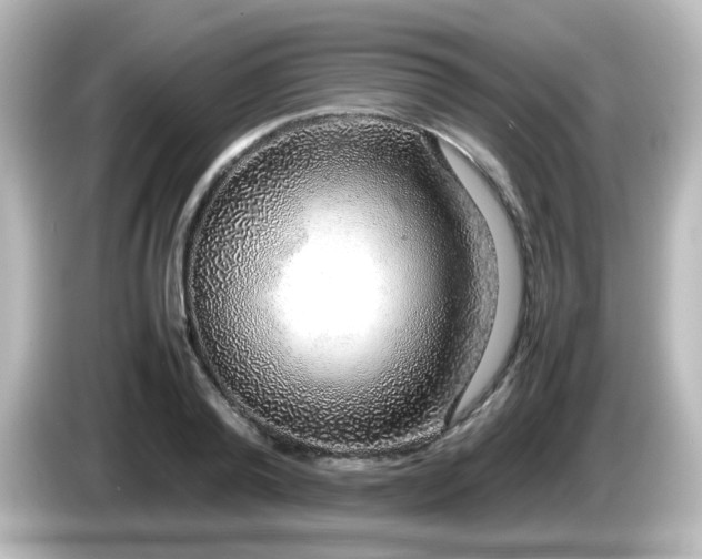 X0000085780792200703161205