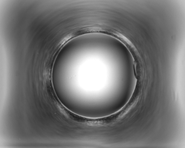 X0000085780793200703161205