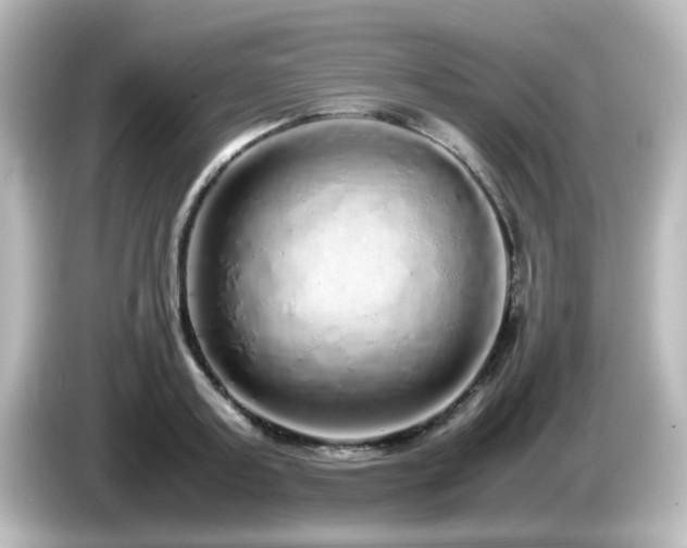 X0000085780795200703161205