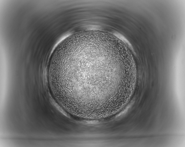 X0000085780798200703161205