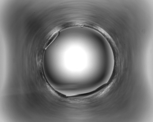 X0000085780801200703161205