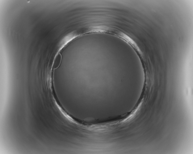 X0000085780802200703161205