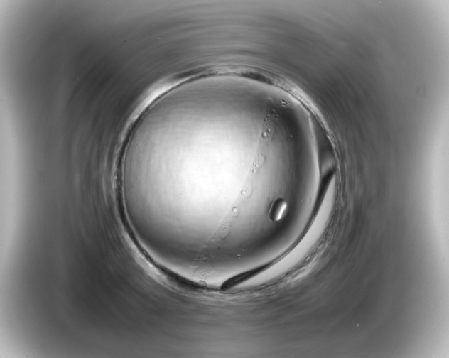 X0000085780803200703161205