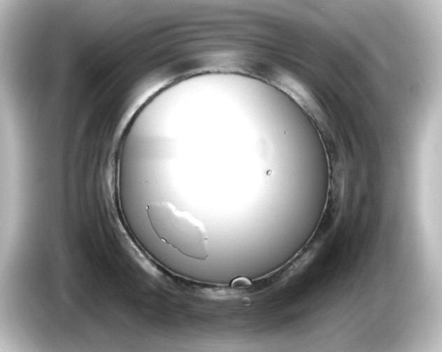 X0000085780804200703161205