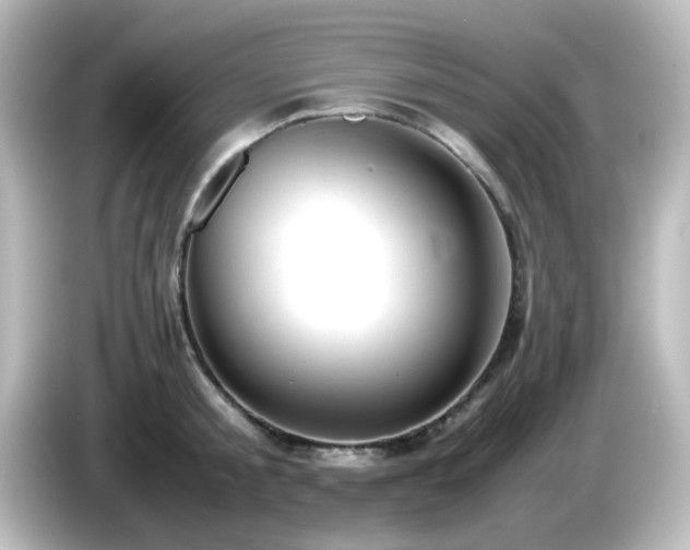 X0000085780805200703161205