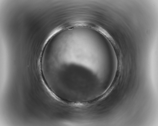 X0000085780806200703161205