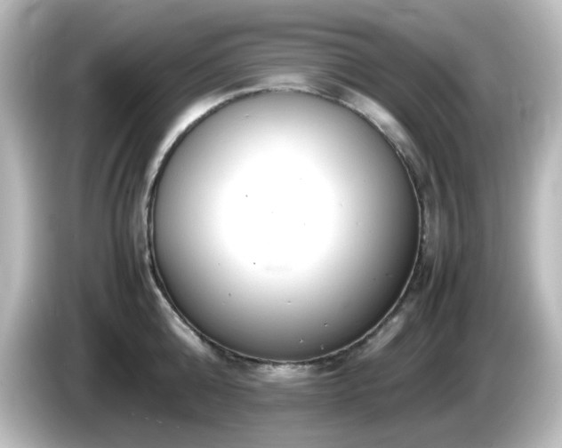 X0000085780808200703161205