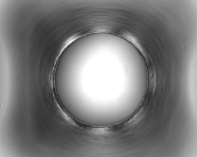 X0000085780810200703161205