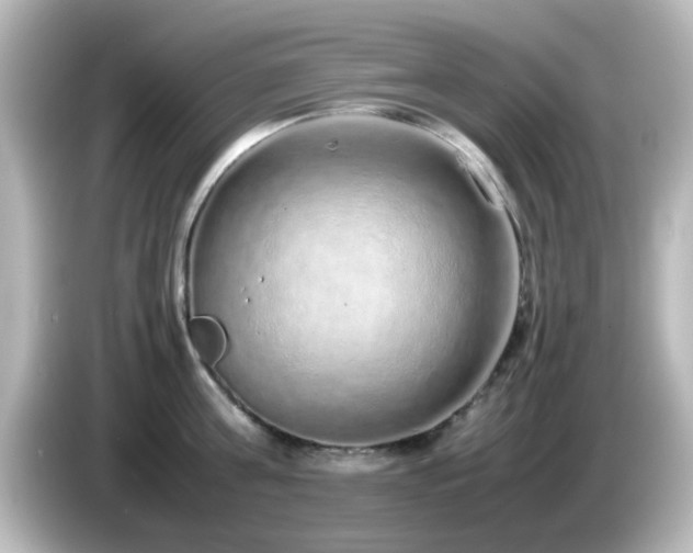 X0000085780811200703161205