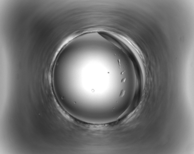 X0000085780813200703161205