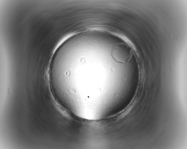 X0000085780814200703161205