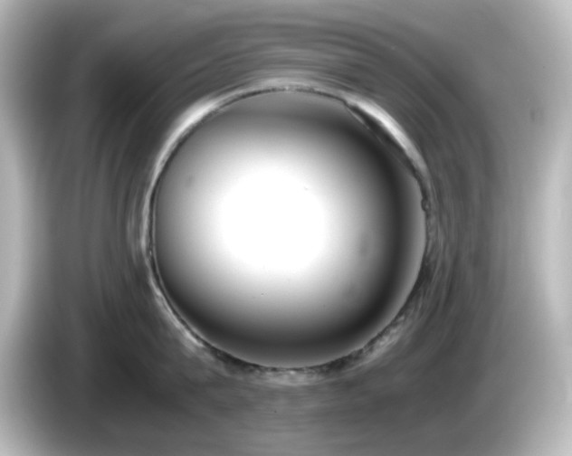 X0000085780815200703161205