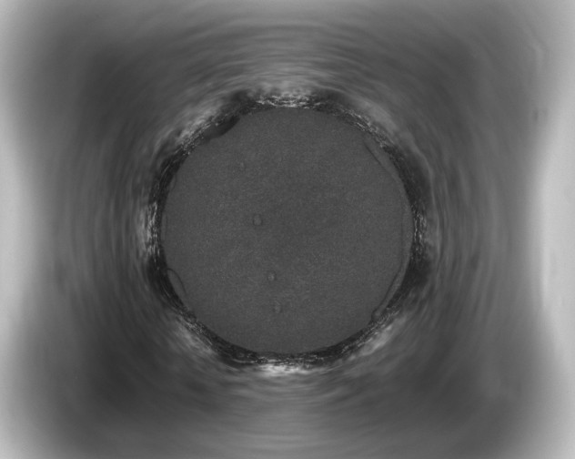 X0000085780818200703161204