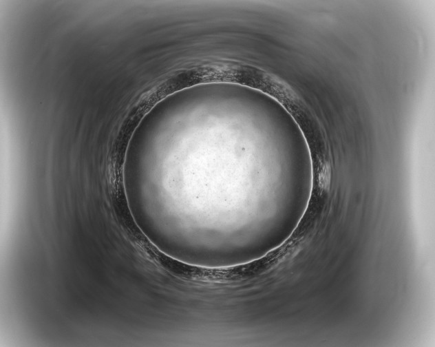 X0000085780819200703161204