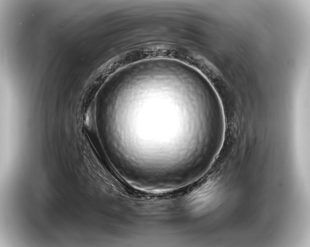 X0000085780821200703161204