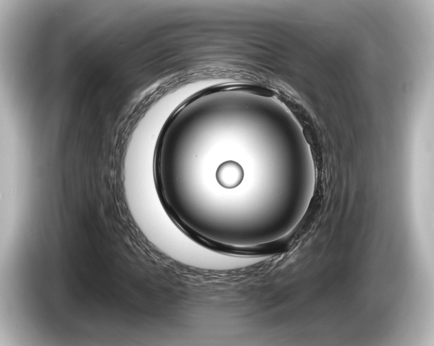 X0000085780822200703161204