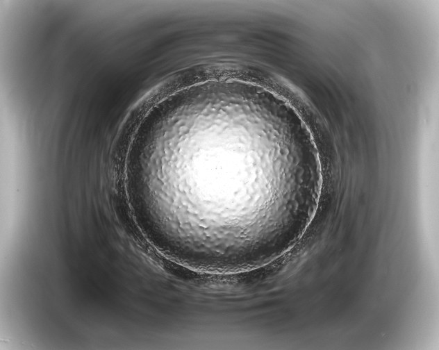 X0000085780823200703161204