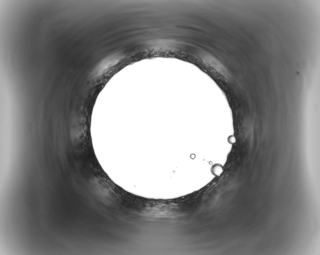 X0000085780824200703161204