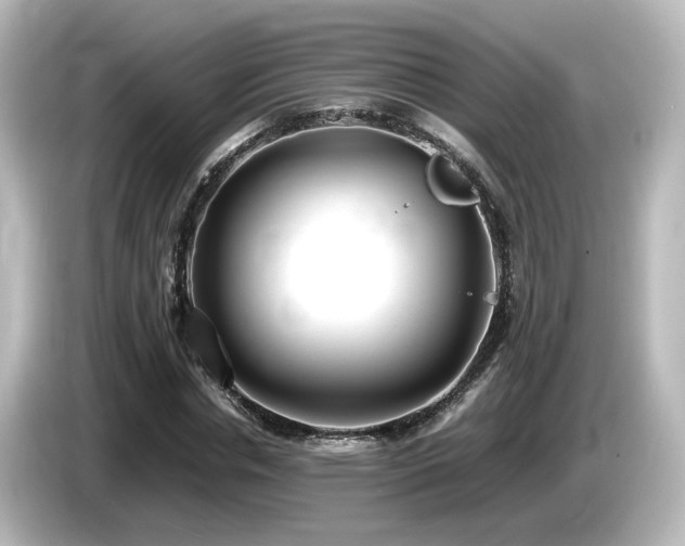 X0000085780826200703161204