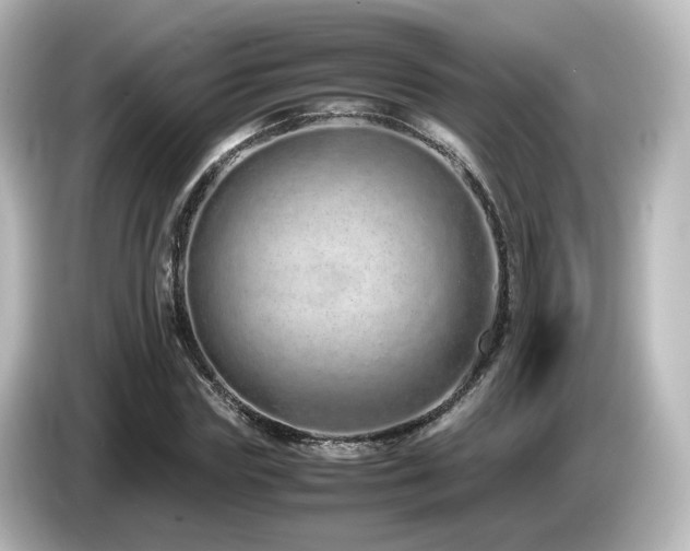 X0000085780827200703161204