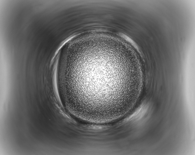 X0000085780829200703161204