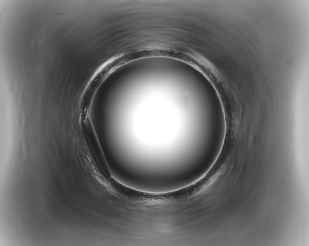 X0000085780830200703161204