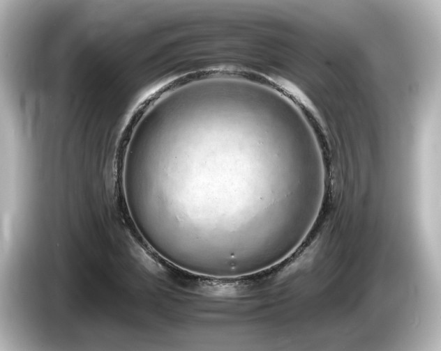 X0000085780831200703161204