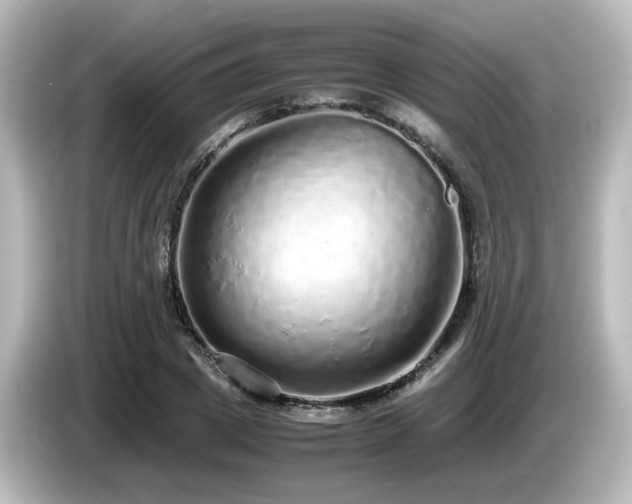 X0000085780833200703161204