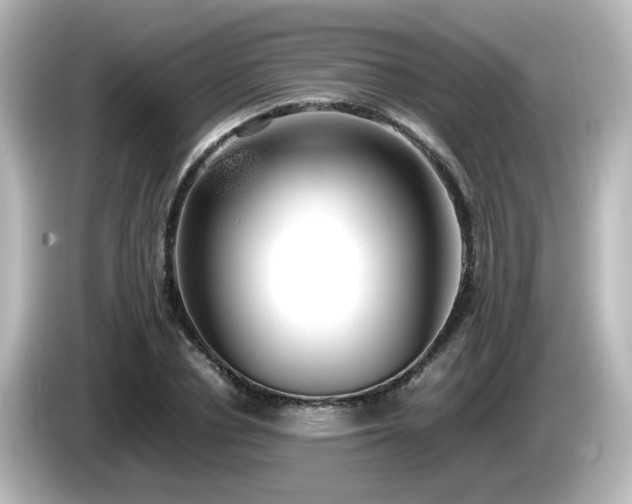 X0000085780834200703161204