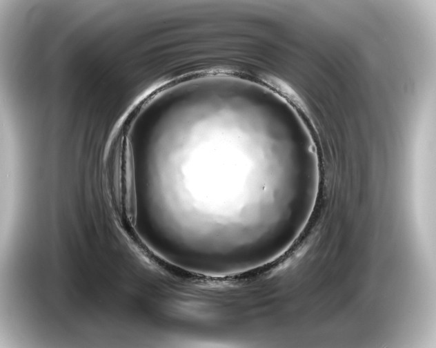 X0000085780835200703161204