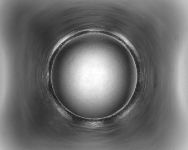 X0000085780837200703161204