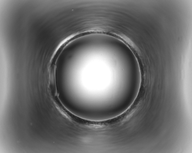 X0000085780838200703161204