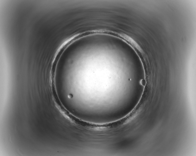 X0000085780839200703161204