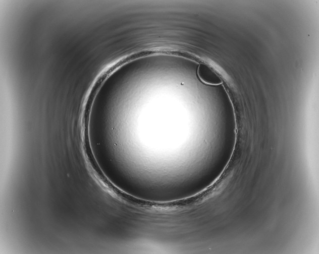 X0000085780840200703161204