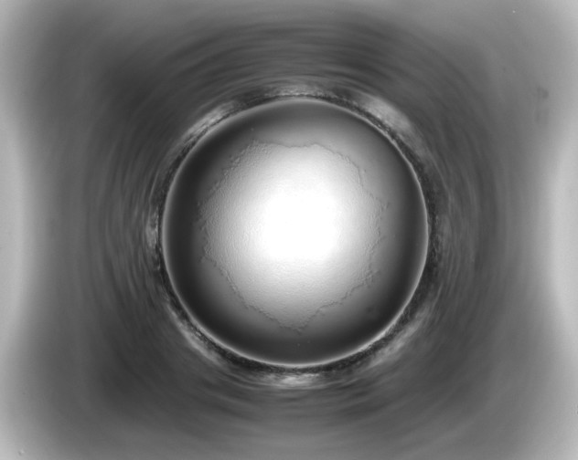 X0000085780841200703161204