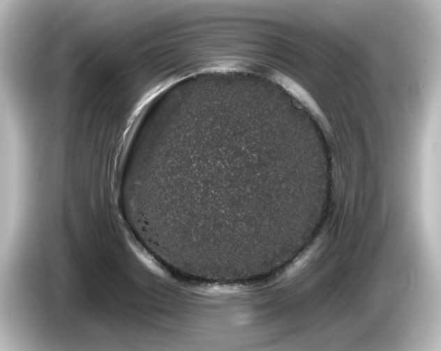 X0000085780842200703161204