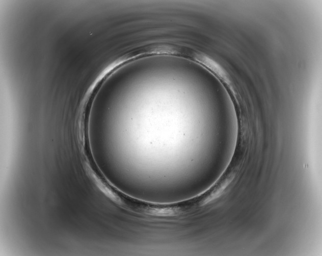 X0000085780843200703161204