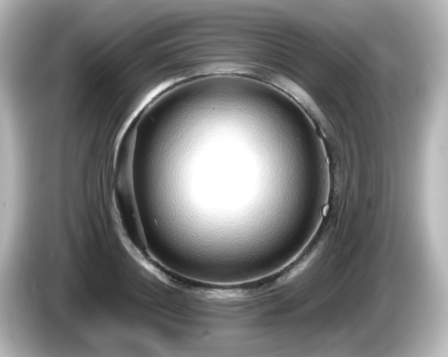 X0000085780844200703161204