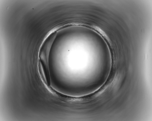 X0000085780845200703161204