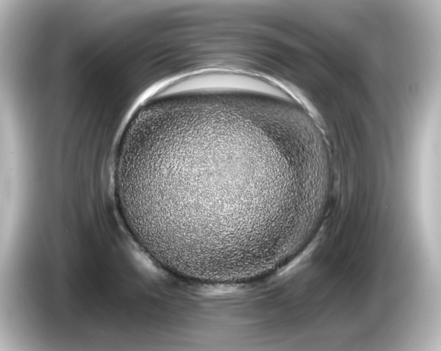 X0000085780846200703161204