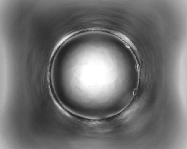 X0000085780847200703161204