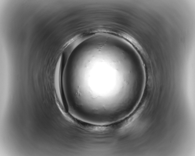 X0000085780849200703161205