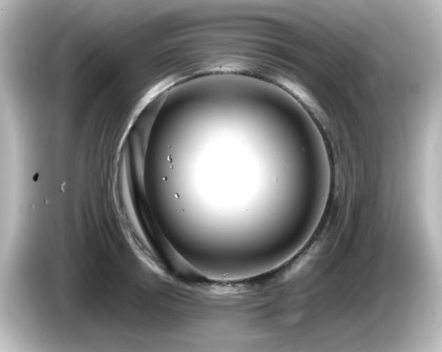 X0000085780850200703161205