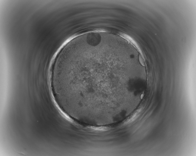 X0000085780851200703161205