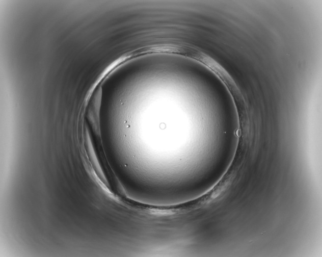 X0000085780852200703161205