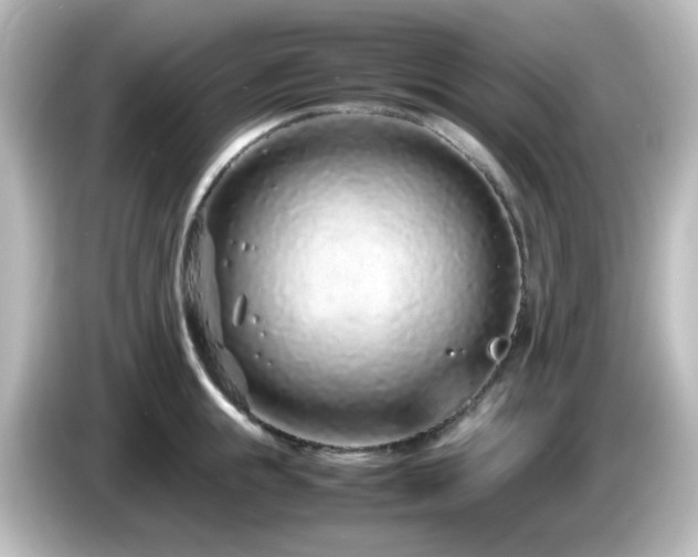 X0000085780855200703161205