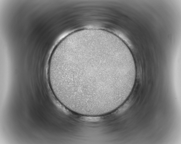 X0000085780856200703161205