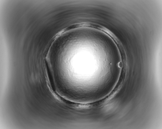 X0000085780857200703161205